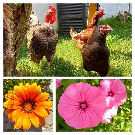 Lejlighed The Sweet Lemon 3 *