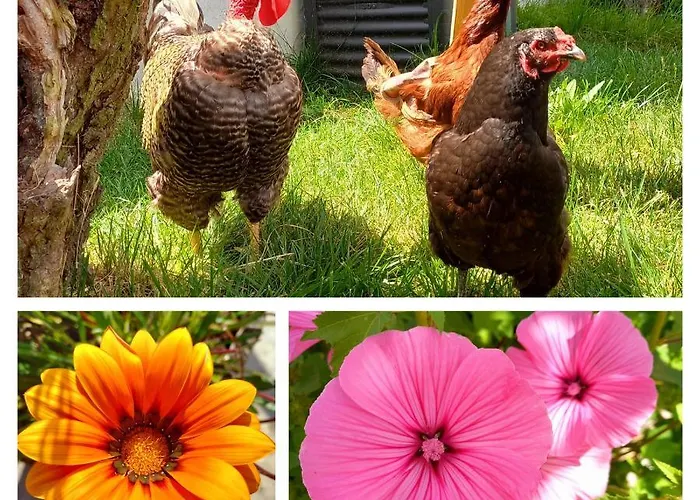 شقة The Sweet Lemon 3 *