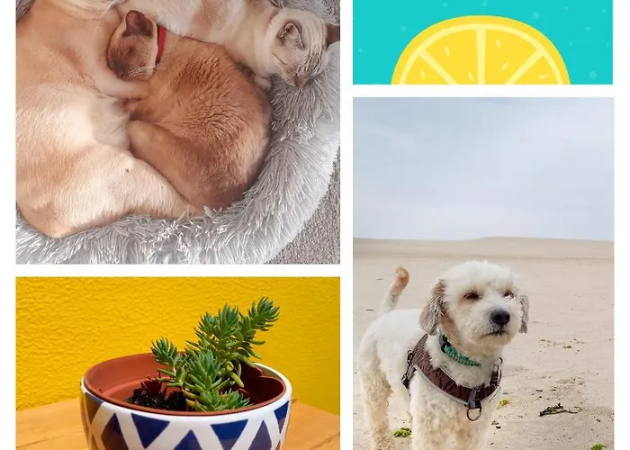 The Sweet Lemon 3 * بومبارال